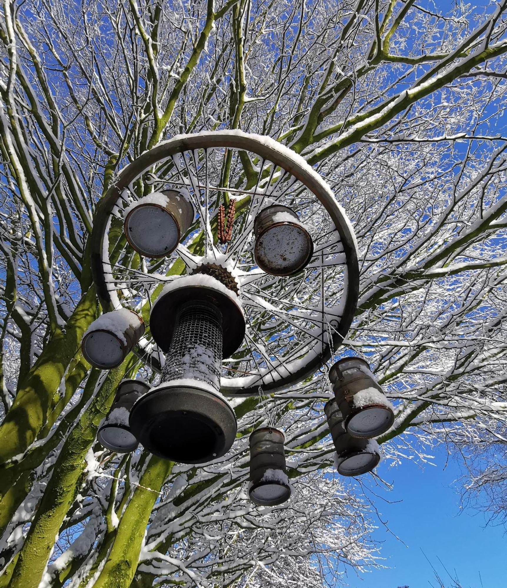 Doughery Den The Dark Hedges Hideaway Armoy Εξωτερικό φωτογραφία