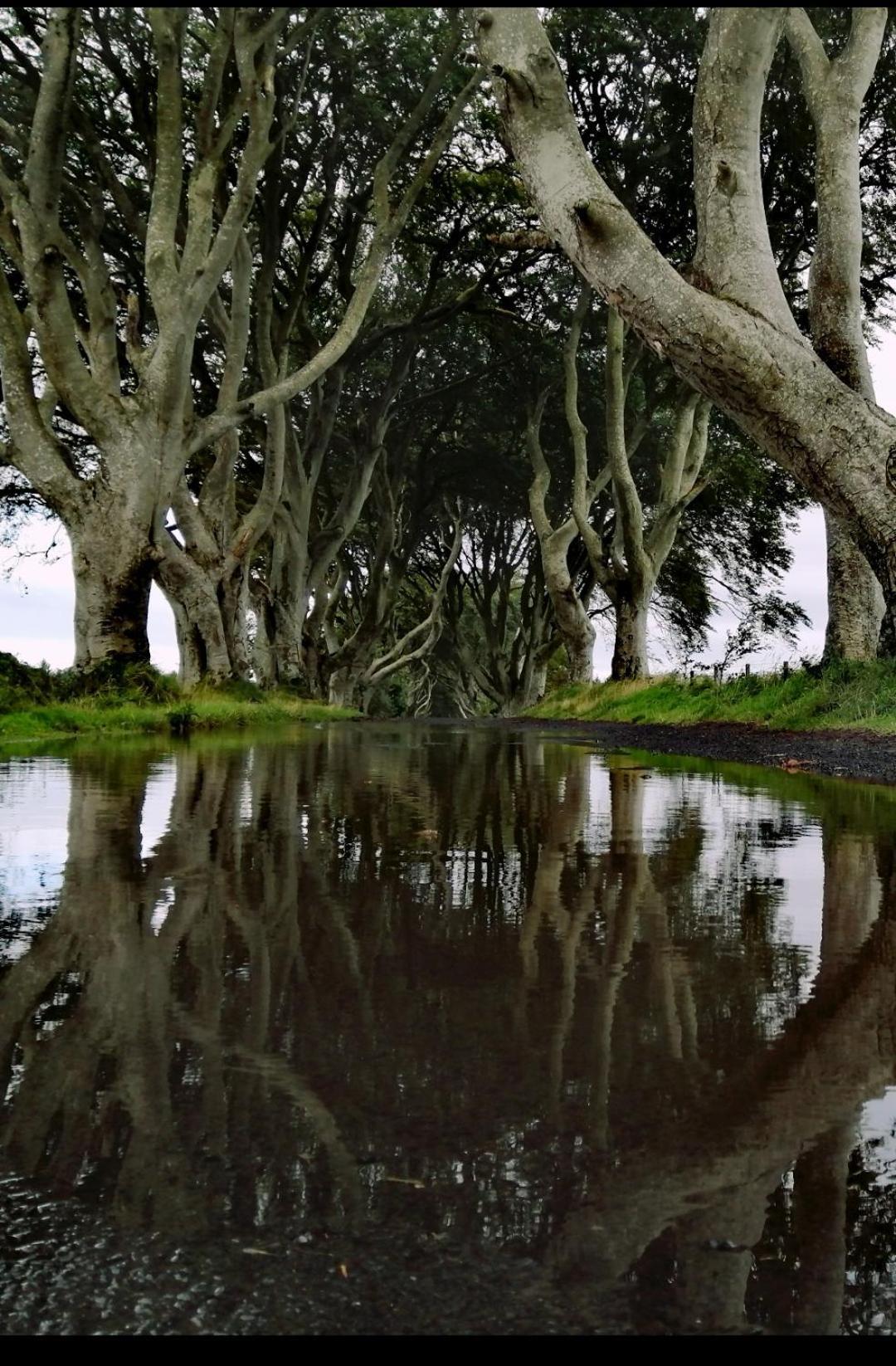 Doughery Den The Dark Hedges Hideaway Armoy Εξωτερικό φωτογραφία