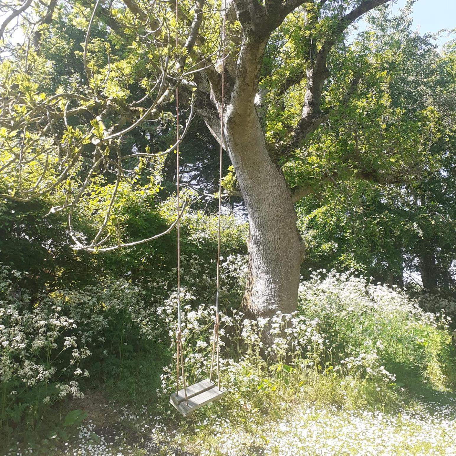 Doughery Den The Dark Hedges Hideaway Armoy Εξωτερικό φωτογραφία