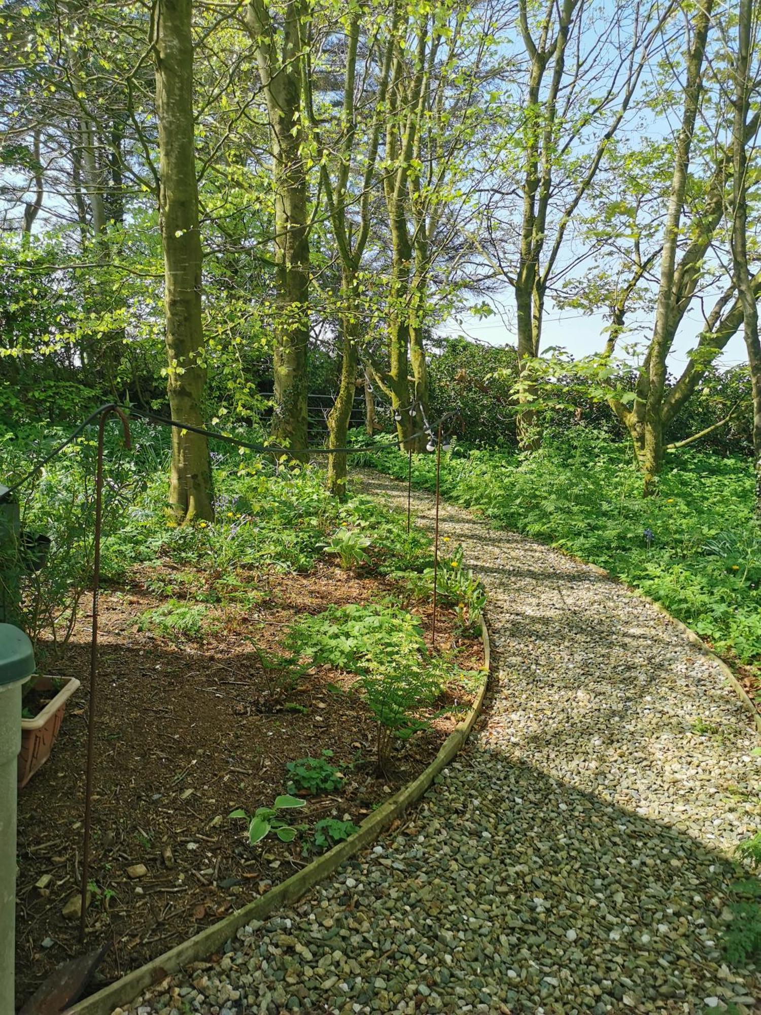 Doughery Den The Dark Hedges Hideaway Armoy Εξωτερικό φωτογραφία